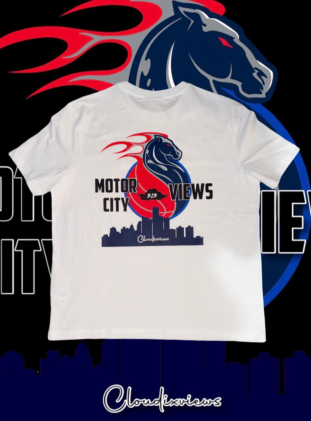 Motor City Views: Home Team ❤️💙