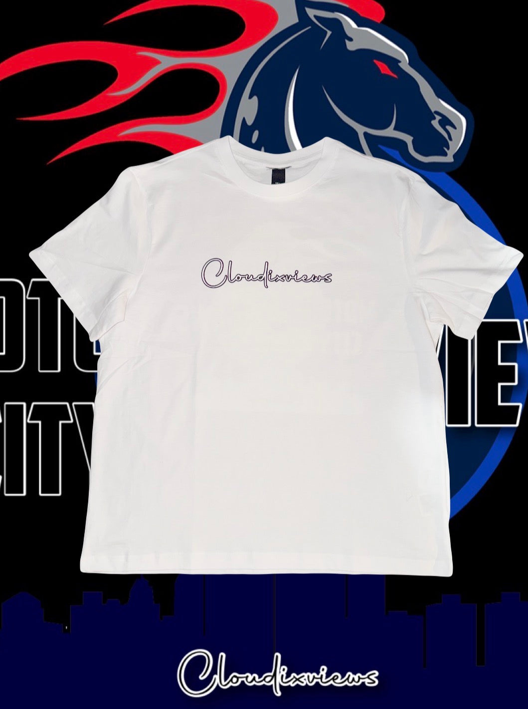 Motor City Views: Home Team ❤️💙